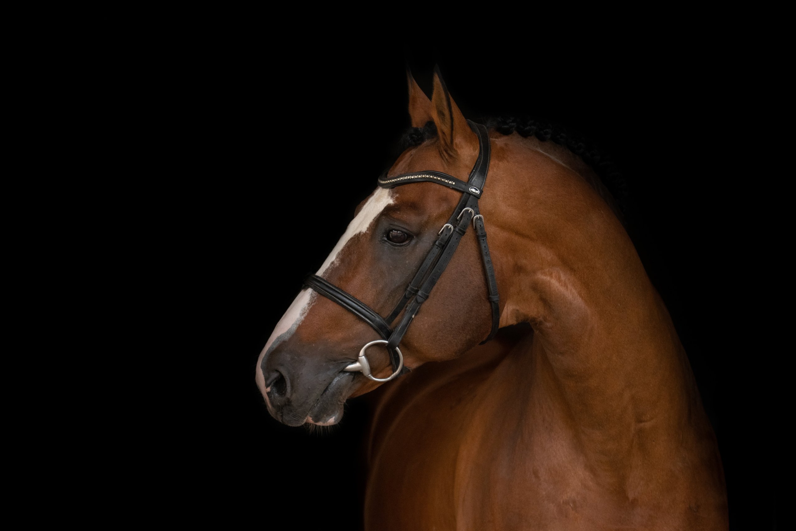 Fors Mozart 2_resized