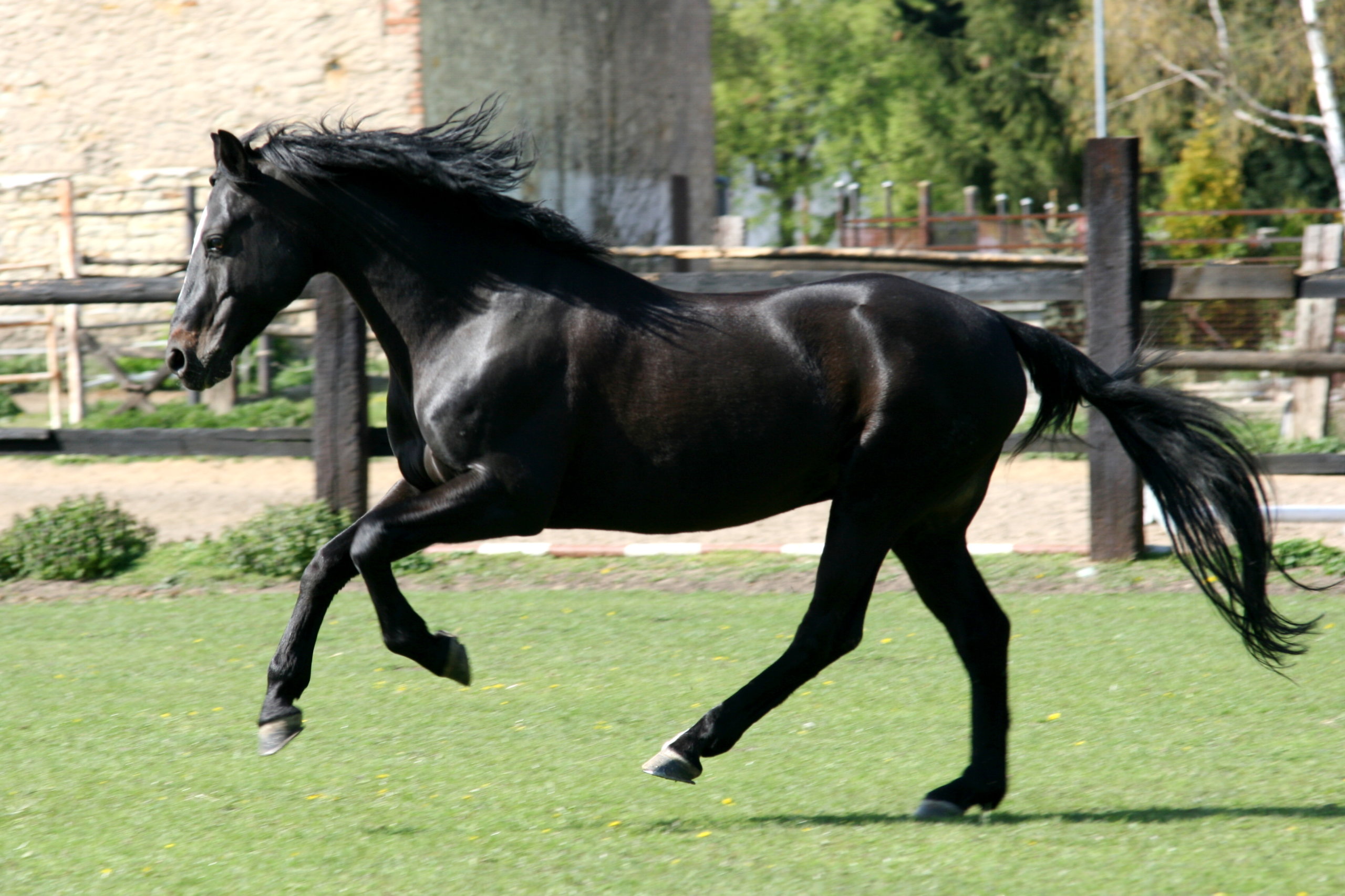 Diamant 424 1