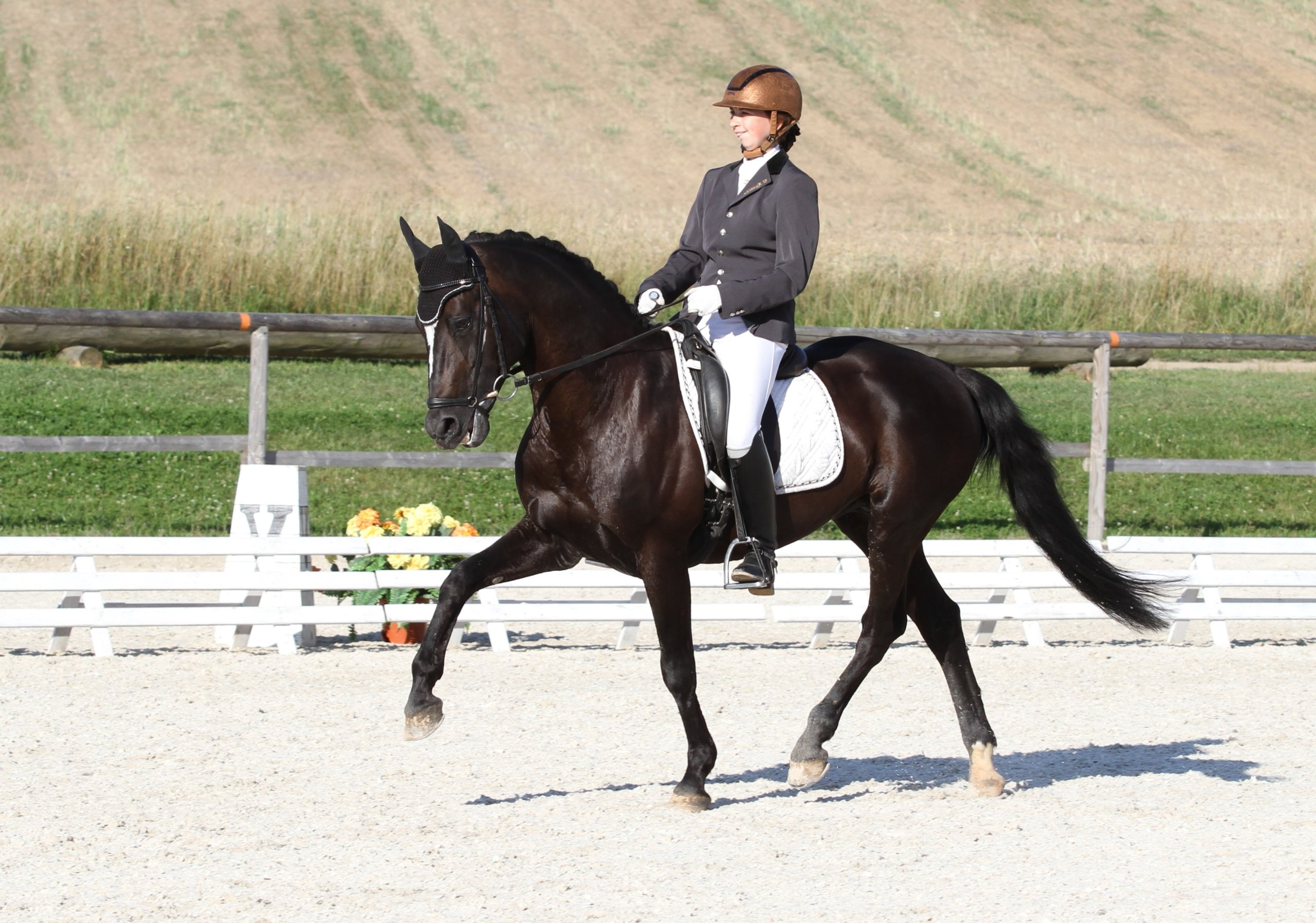 Diamant 424 4