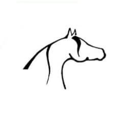 Profilová fotka Asociace chovatelů miniaturních koní, z.s. 