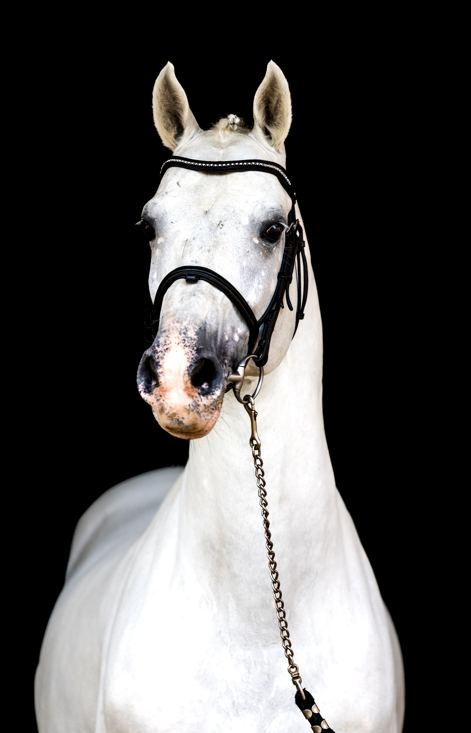 Cornet de lux 1