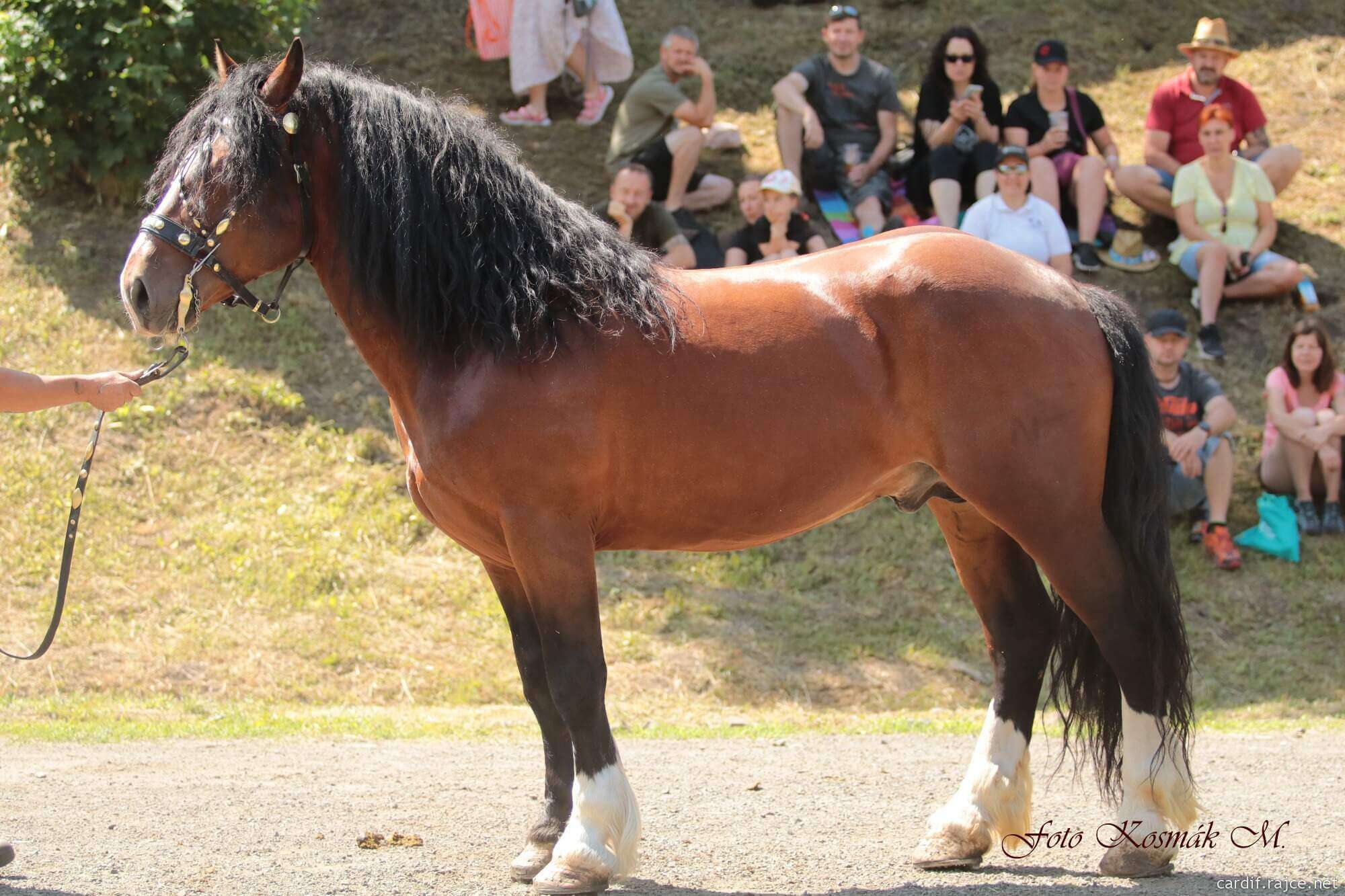 Spartakus 07 2023 Lučiny