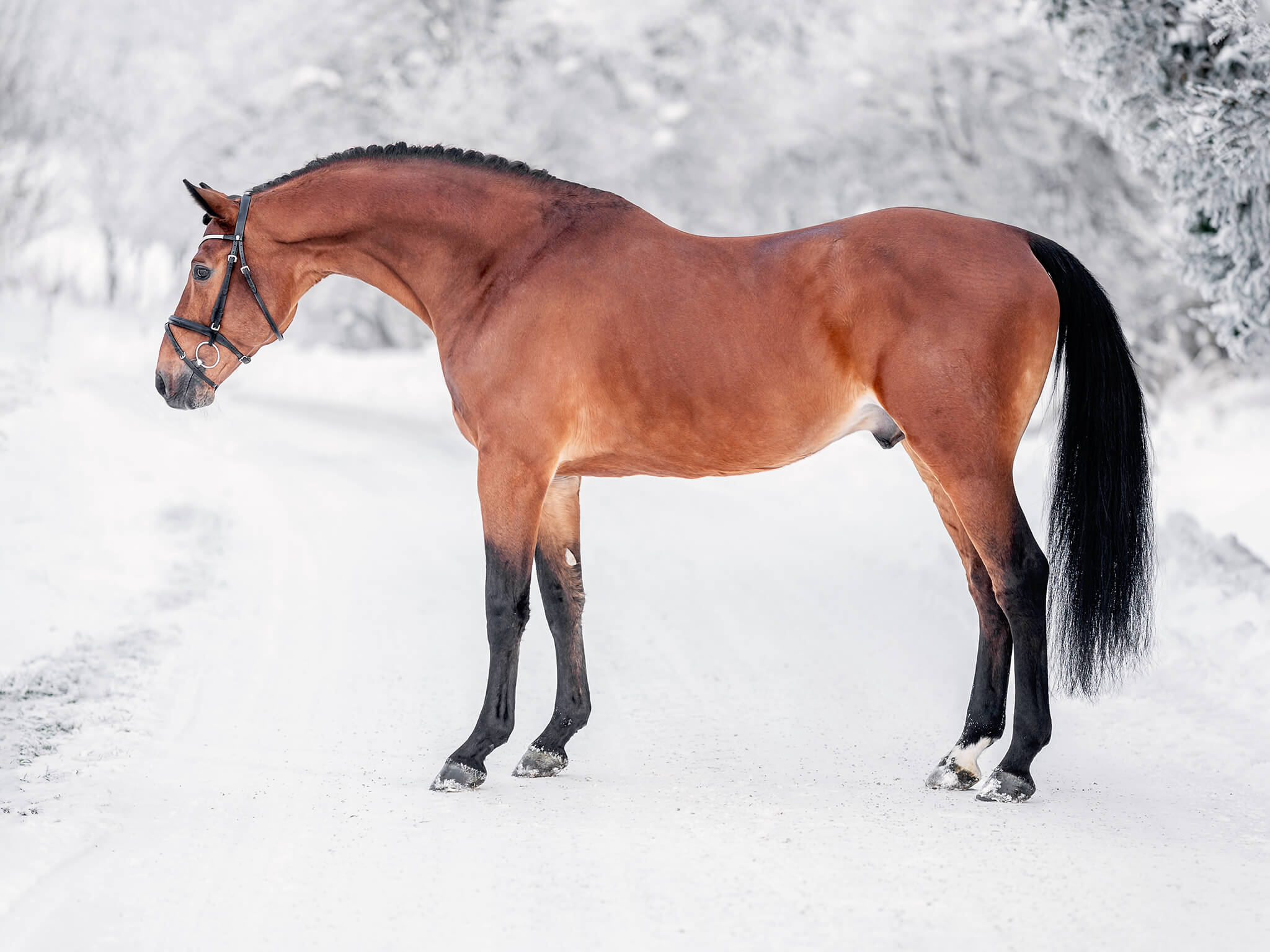 TPT01660-Edit