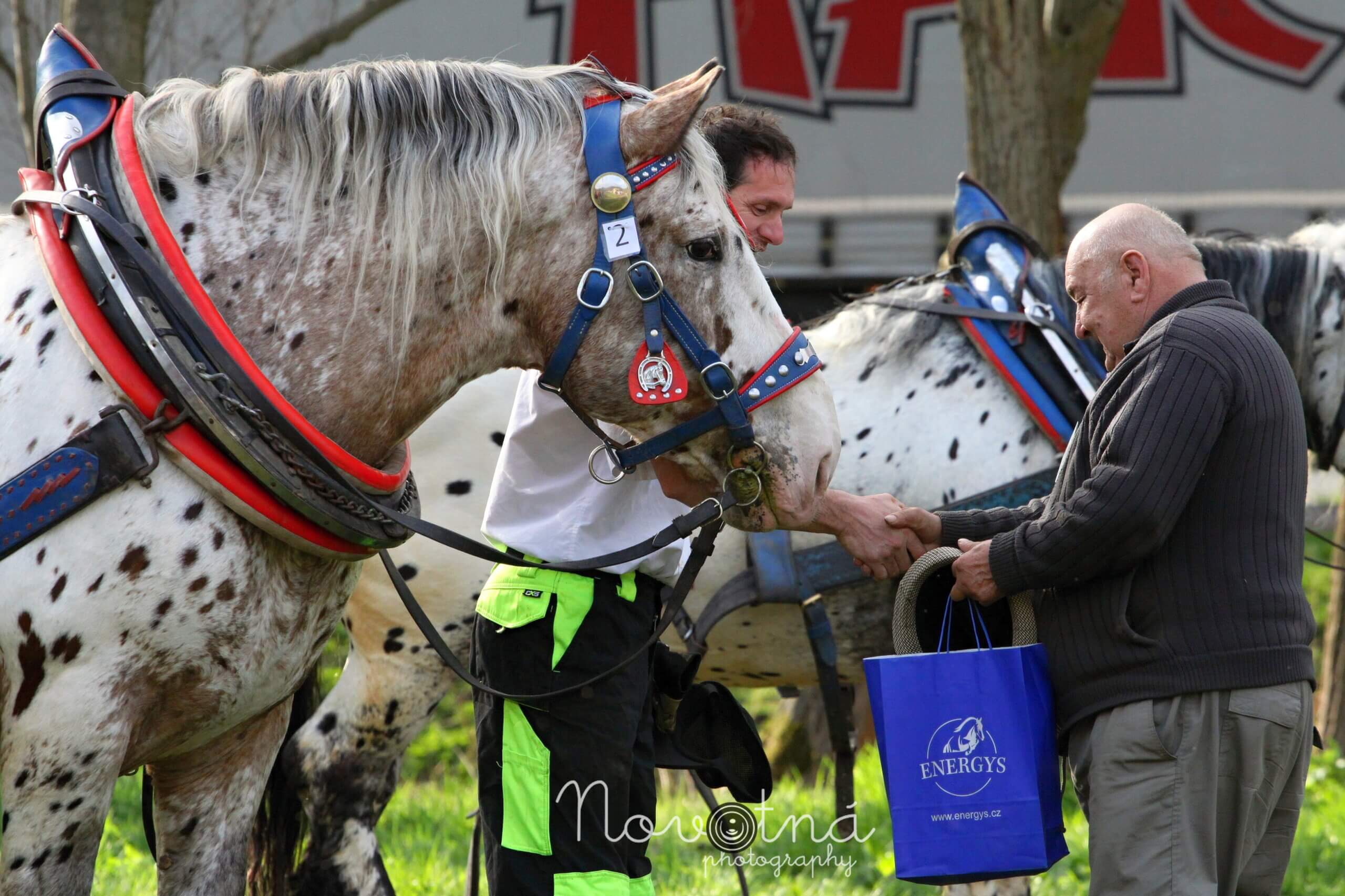 White Tiger kvalifikace Sušice 2017
