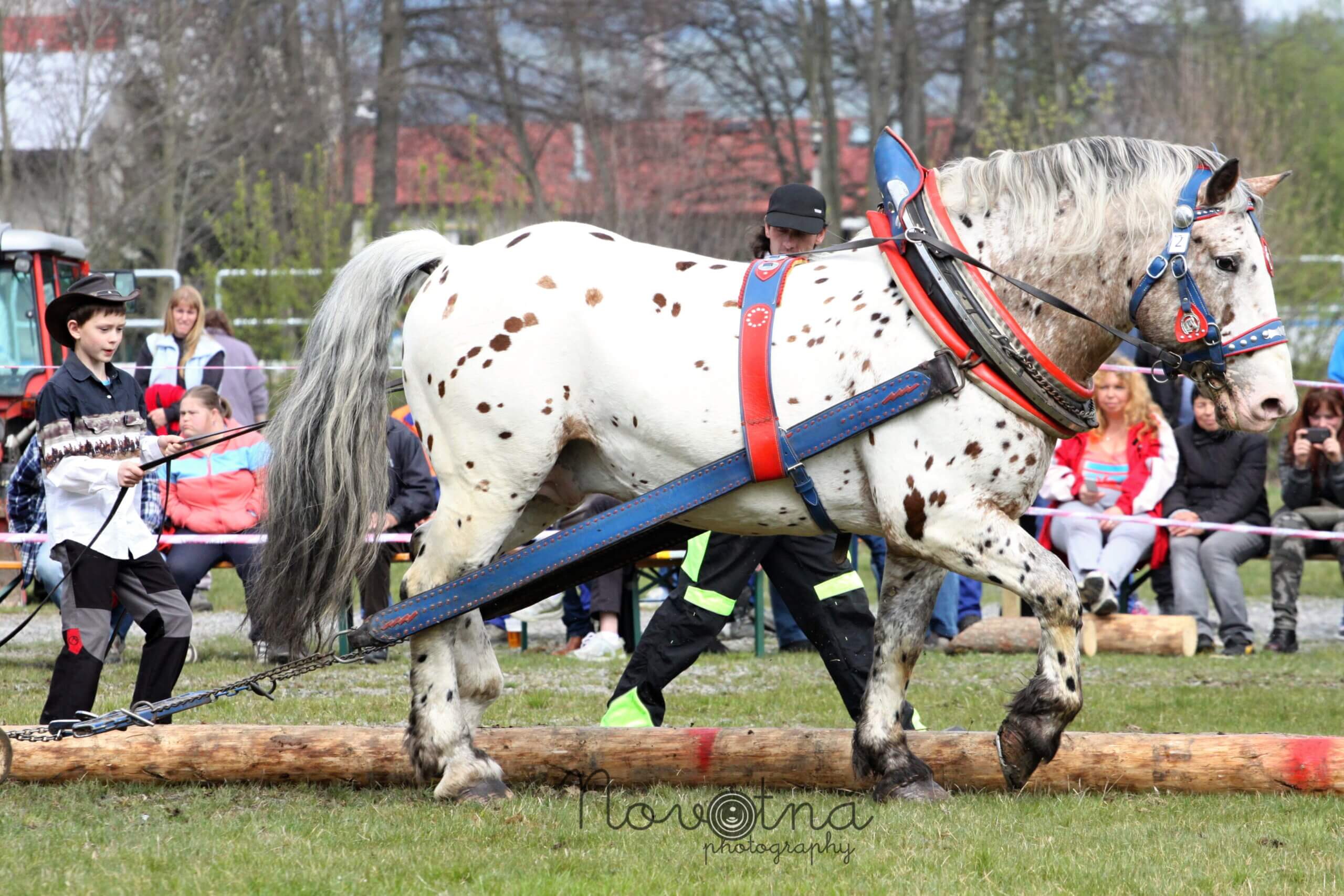 White Tiger ovl kvalifikace Sušice 2017 minikočí
