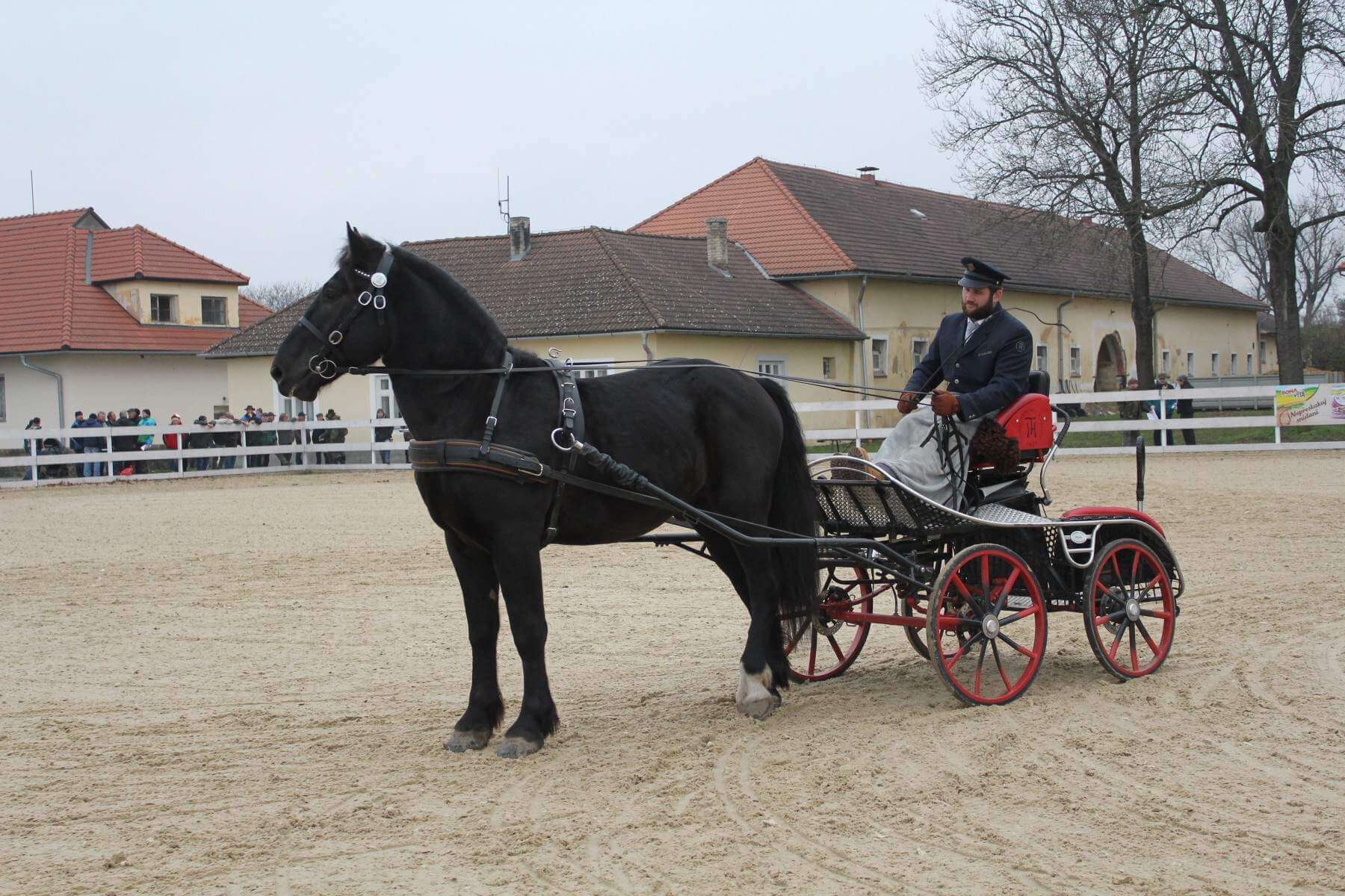 Svatoslav blšanský 1