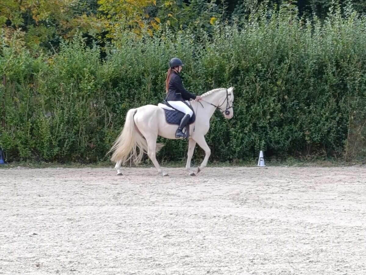 Threestars Evening Star1